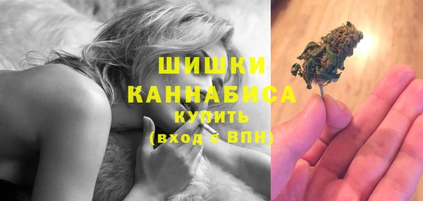PSILOCYBIN Вяземский