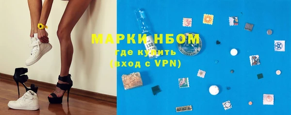 PSILOCYBIN Вяземский