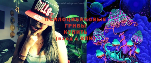 PSILOCYBIN Вяземский