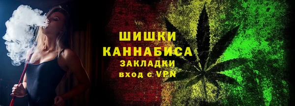 PSILOCYBIN Вяземский