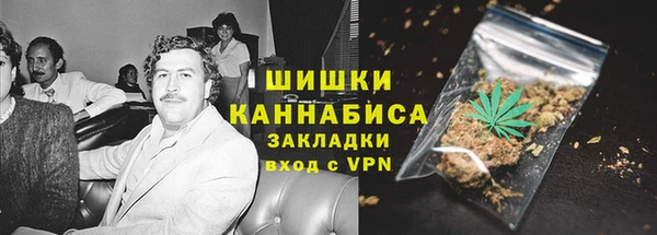 PSILOCYBIN Вяземский