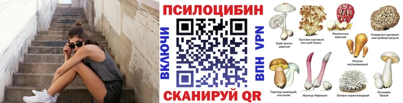 Псилоцибиновые грибы мицелий  Змеиногорск 